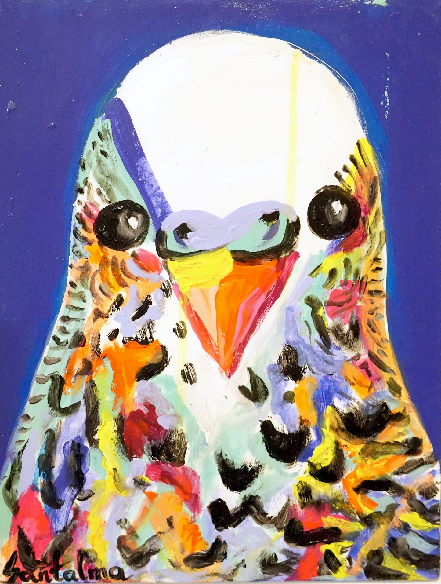 Karolina Serrano - Budgie