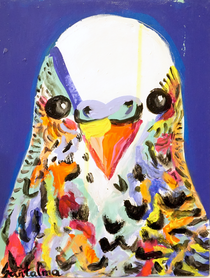 Karolina Serrano - Budgie