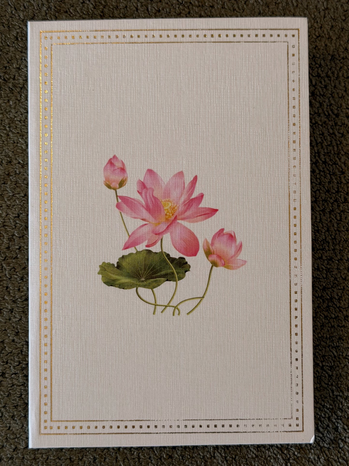 Delhi Greeting Cards