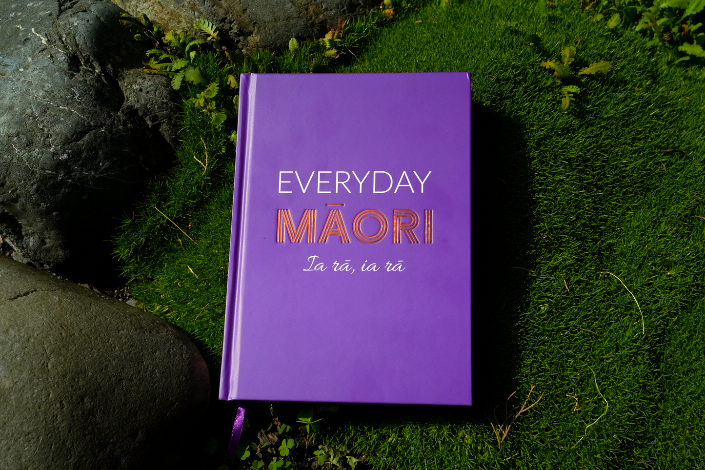 Everyday Māori Book