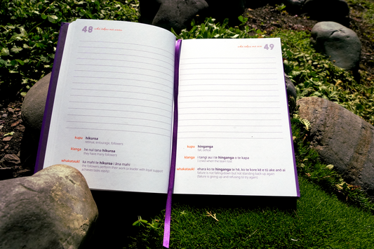 Everyday Māori Book