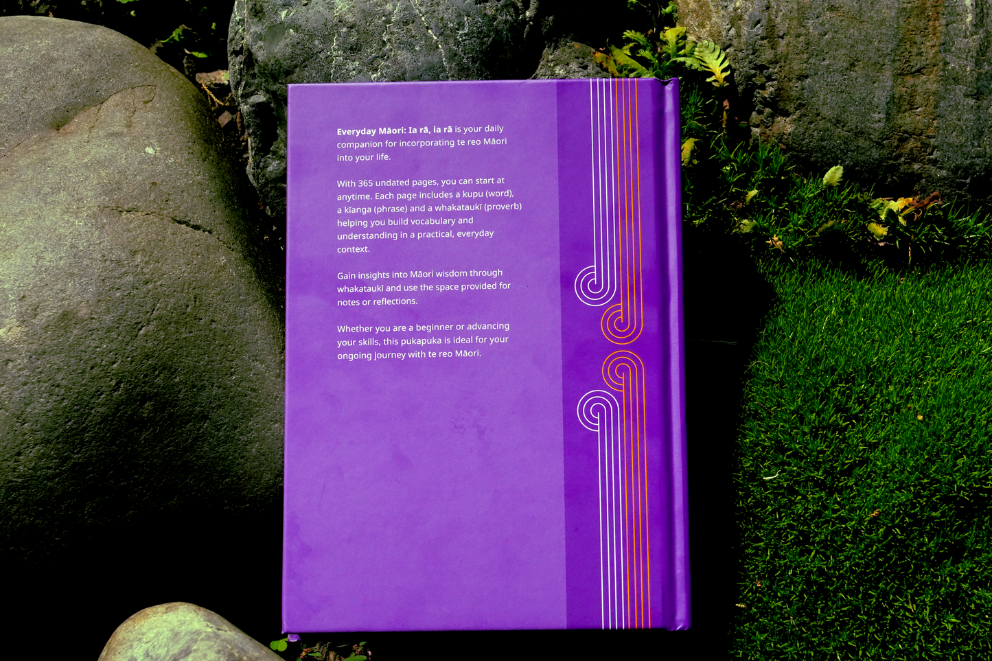 Everyday Māori Book